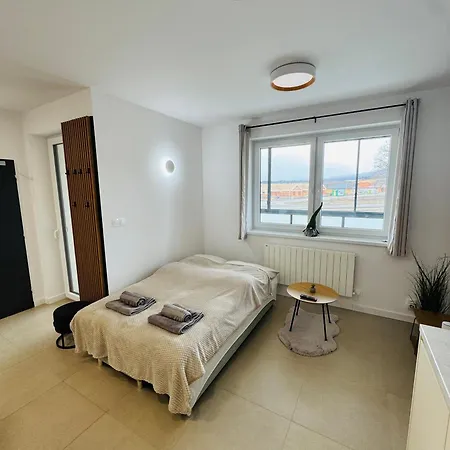 Panorama View *